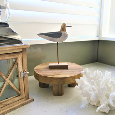 Seagull - Small