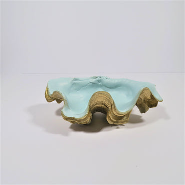Clam Shell