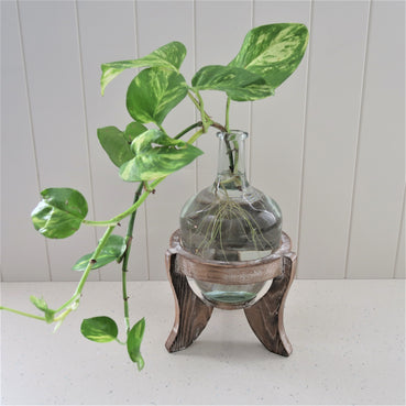 Glass Bottle Vase and Stand
