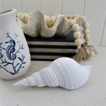 White Sea Shell
