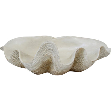 Clam Shell White